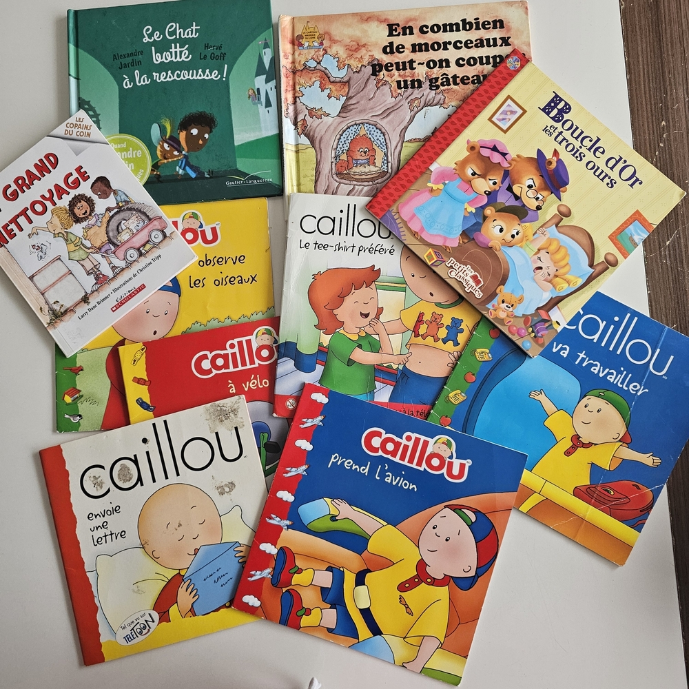 10 Pieces Kids Storybook Collection in French